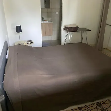 Charmante Propriete Arboree Borgo (Corsica)